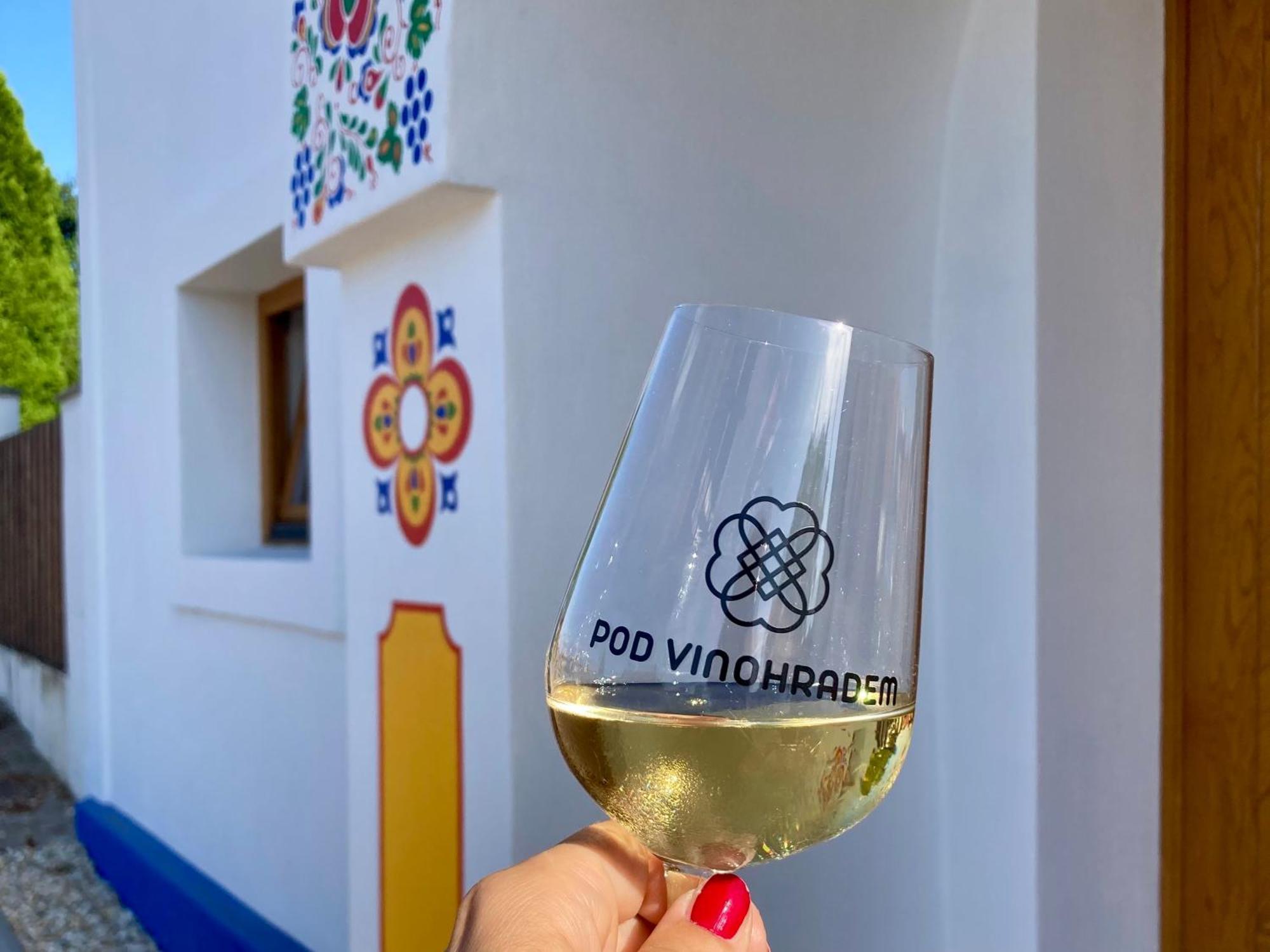 Pod Vinohradem - Apartmany & Vinne Sklepy Mutěnice Exterior foto